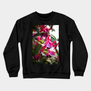 Flowering Fuchsia Crewneck Sweatshirt